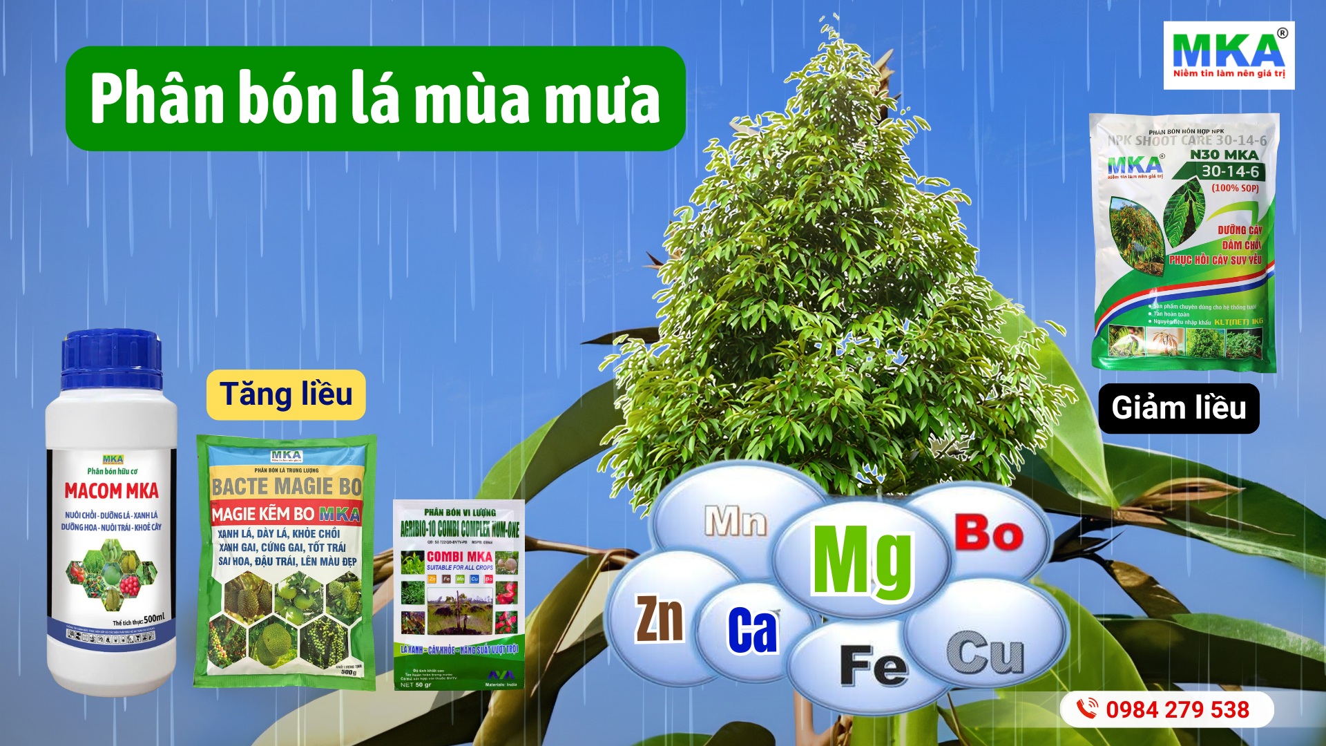 Liều sử dụng phân bón lá nuôi cơi trong mùa mưa